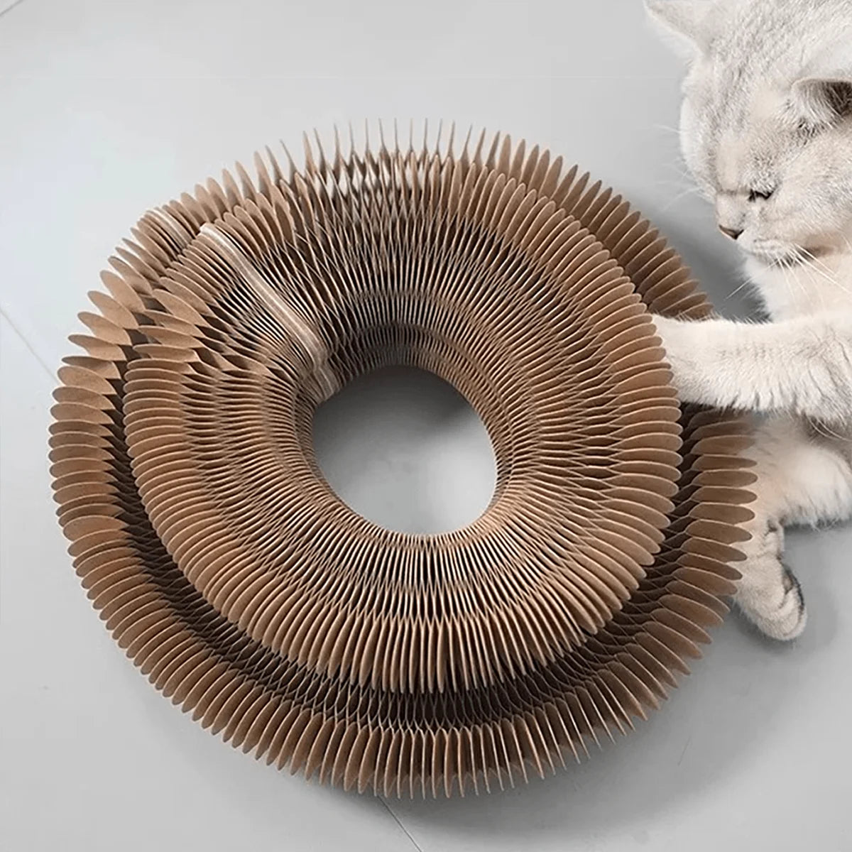 Foldable Cat Scratcher Toy with Catnip & Bell
