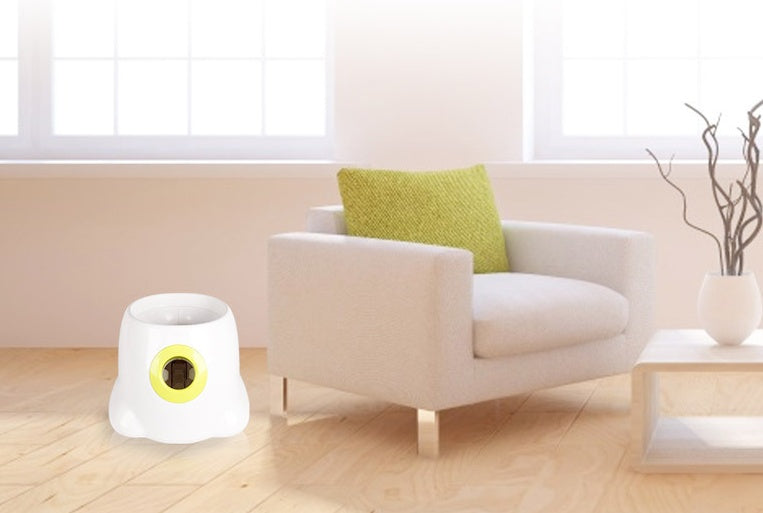 Dog  Automatic  Interactive Ball Launcher