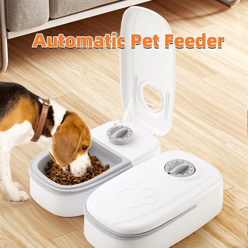 Automatic Double Pet Feeder with Stainless Steel Bowls for Cats & Dogs