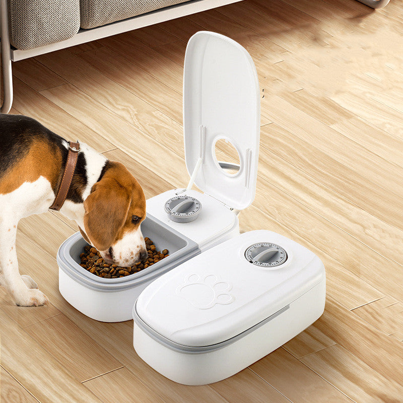 Automatic Double Pet Feeder with Stainless Steel Bowls for Cats & Dogs